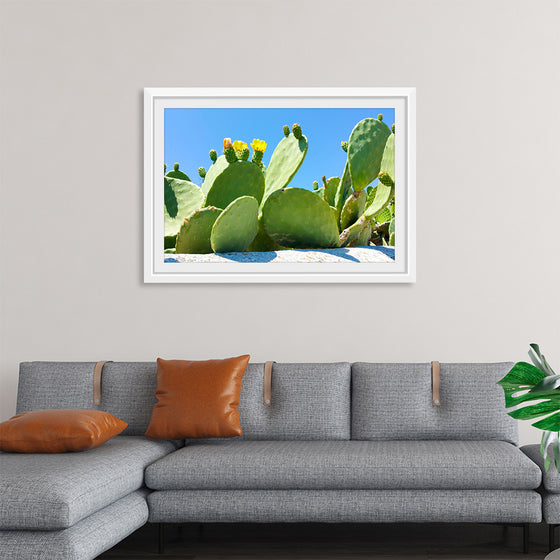 "Flowering Cactus"