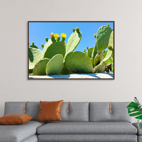 "Flowering Cactus"