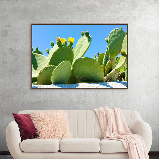 "Flowering Cactus"