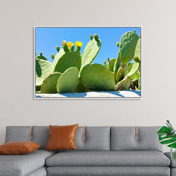 "Flowering Cactus"