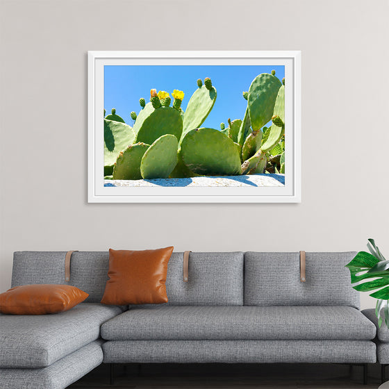 "Flowering Cactus"