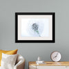 "Dandelion On White Background"