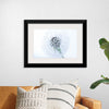 "Dandelion On White Background"