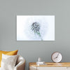 "Dandelion On White Background"