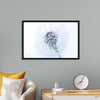 "Dandelion On White Background"