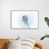 "Dandelion On White Background"