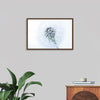 "Dandelion On White Background"