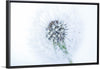 "Dandelion On White Background"