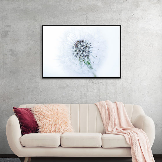 "Dandelion On White Background"