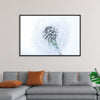 "Dandelion On White Background"