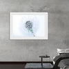 "Dandelion On White Background"