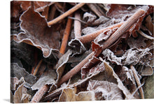  This artwork is a print of fallen leaves and twigs covered with a delicate layer of frost. Each leaf is outlined with ice crystals, highlighting their intricate structures and veins. The color palette consists mainly of brown and gray tones from the dried leaves, contrasted by the white frost. 