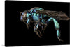 “Bee” is a stunning print of a bee in all its glory. The intricate details of the bee’s body and wings are captured in a way that makes it look almost lifelike. The print is set against a black background, making the bee’s iridescent blue body stand out even more. 