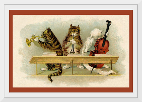 "Musical Cats"