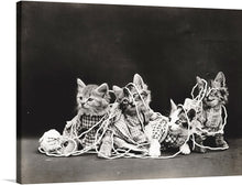  “Cat Dressed” is a charming black and white print of three kittens playing with a ball of yarn. The kittens are dressed in plaid and lace, giving the image a whimsical and playful feel. This print would make a great addition to any cat lover’s collection. 