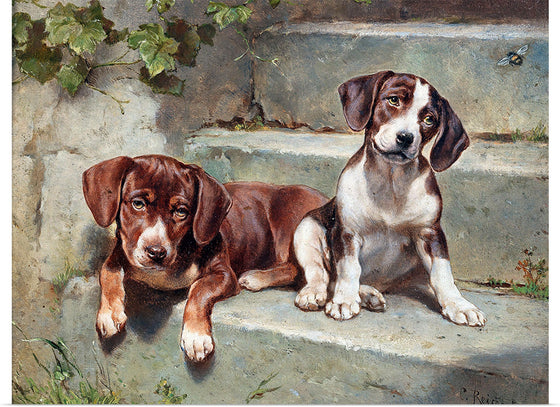 "Puppies", P. Rivière