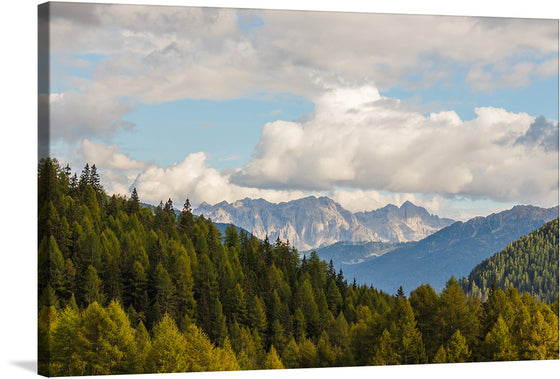 “Bergwandeltocht van Peio Paese naar Lago Covel (1,839 m) in het Nationaal park Stelvio” is a stunning print of a mountain landscape. The print captures the natural beauty of the mountains and the lush greenery of the trees. 