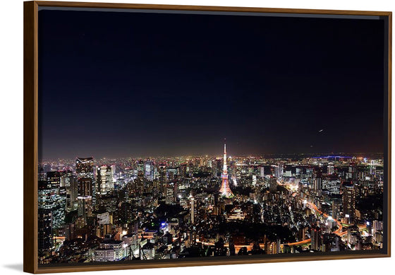 "Night View of Cityscape in Tokyo, Japan"