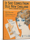 This premium print, titled “If She Comes From Old New England, She's a Grand Old Girl,” is a captivating piece that immerses you in the nostalgic charm of a bygone era. The artwork features elegant typography and intricate illustrations, including hands holding a paper that depicts the map of New England states. The warm, earthy tones and detailed imagery make it a perfect addition for collectors who appreciate art with a story. 