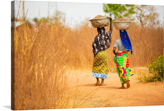 “Women in West Africa Village Carrying Baskets Filled With Shea Butter Fruits” invites you into a world where tradition and nature intertwine seamlessly. This captivating print captures two women adorned in graceful yukatas as they wander through an ancient Japanese village. The warm glow of the setting sun illuminates their path, casting gentle light on wooden structures and intricate details. 