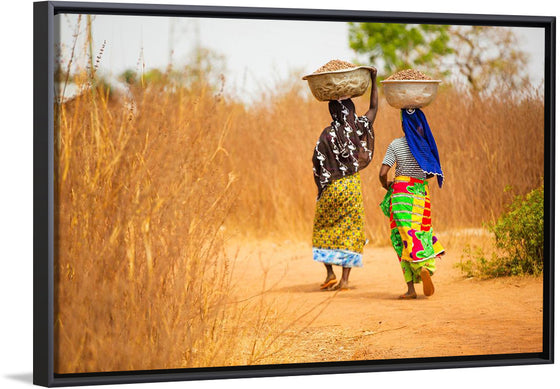 "Women in West Africa Village Carrying Baskets Filled With Shea Butter Fruits"