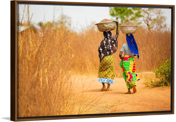 "Women in West Africa Village Carrying Baskets Filled With Shea Butter Fruits"