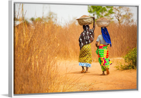 "Women in West Africa Village Carrying Baskets Filled With Shea Butter Fruits"