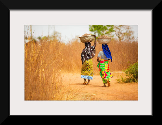 "Women in West Africa Village Carrying Baskets Filled With Shea Butter Fruits"