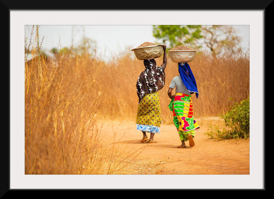 "Women in West Africa Village Carrying Baskets Filled With Shea Butter Fruits"