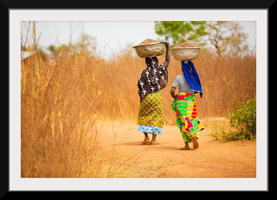 "Women in West Africa Village Carrying Baskets Filled With Shea Butter Fruits"