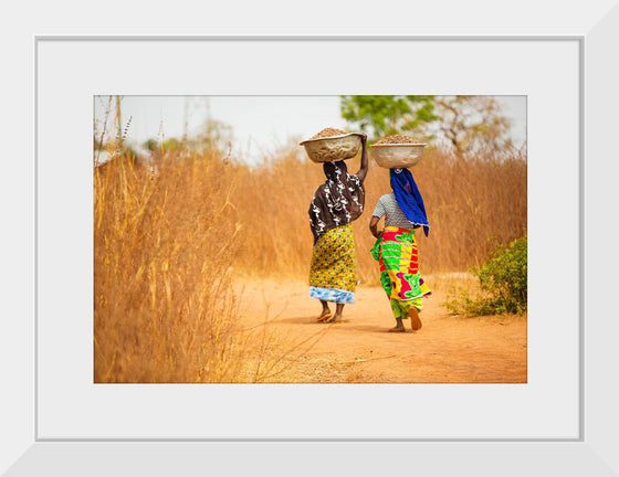 "Women in West Africa Village Carrying Baskets Filled With Shea Butter Fruits"