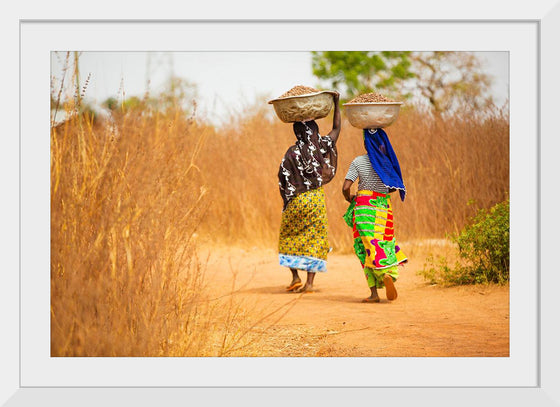 "Women in West Africa Village Carrying Baskets Filled With Shea Butter Fruits"