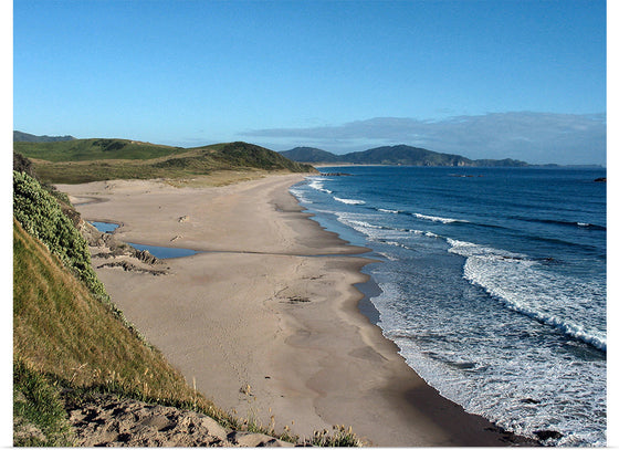 "Ocean Beach, Northland, New Zealand"