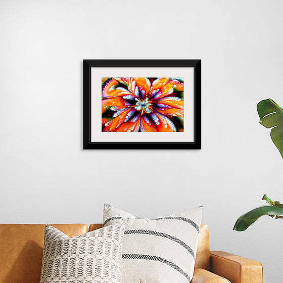 "A Painting of a Colorful Flower", Fiona Art