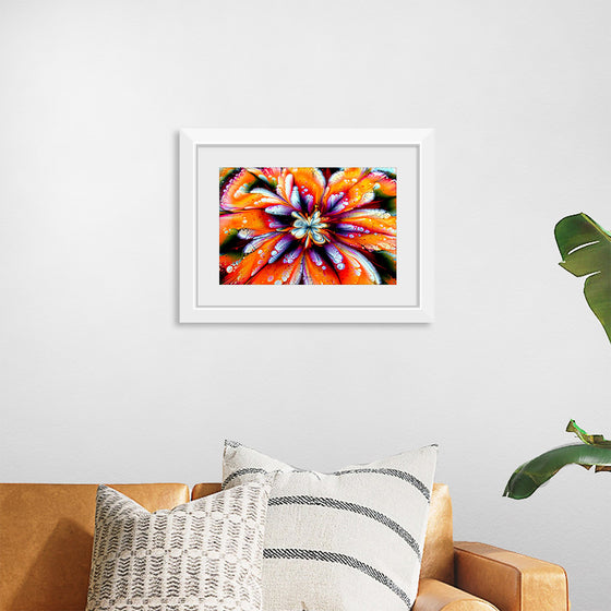 "A Painting of a Colorful Flower", Fiona Art