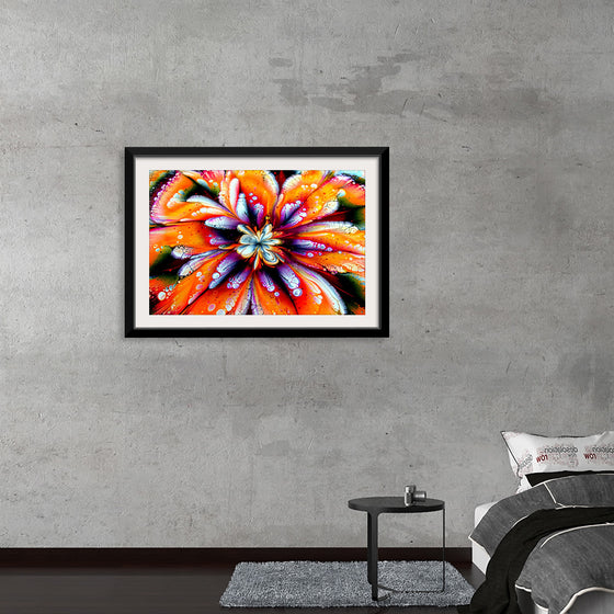 "A Painting of a Colorful Flower", Fiona Art