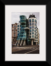 "The Dancing House", Vera Kratochvil