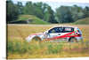 Capture the thrill of the race with this dynamic print featuring a rally car in action! The artwork showcases car number 411, adorned with a vibrant and colorful design, as it races through an open field, kicking up dust in its wake. The blurred background accentuates the speed and movement, making this print a perfect piece for those who love the adrenaline and excitement of motor racing.