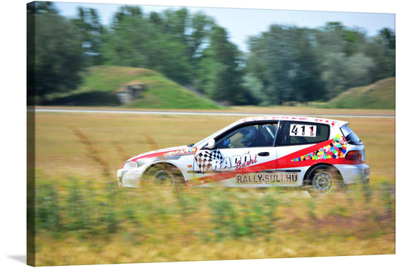 Capture the thrill of the race with this dynamic print featuring a rally car in action! The artwork showcases car number 411, adorned with a vibrant and colorful design, as it races through an open field, kicking up dust in its wake. The blurred background accentuates the speed and movement, making this print a perfect piece for those who love the adrenaline and excitement of motor racing.