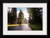 "Biking Going to the Sun Road"