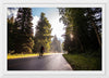 "Biking Going to the Sun Road"