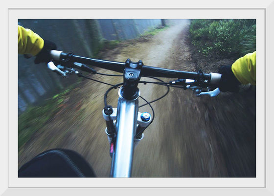 "Cyclist's View"