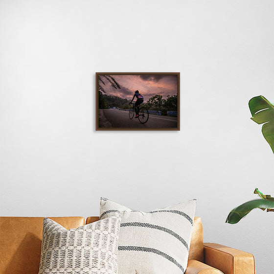 "Male bicycling along a treed road in Ooty"