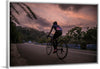 "Male bicycling along a treed road in Ooty"