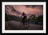 "Male bicycling along a treed road in Ooty"