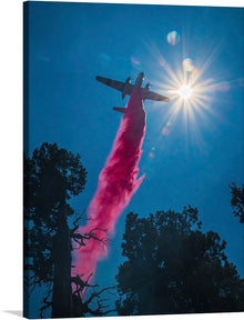  This print is a stunning photograph of a firefighting plane dropping a load of pink fire retardant over a forest. The sun is shining brightly in the background, creating a beautiful lens flare effect. 