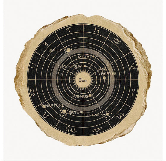 "Solar biology"