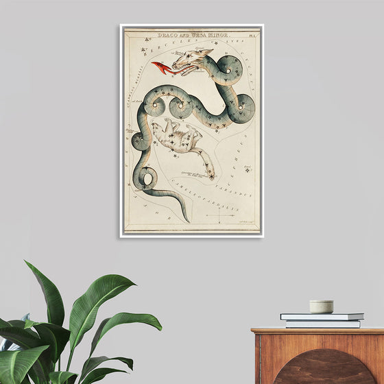 "Astronomical Chart of Draco and the Ursa Minor (1831)", Sidney Hall