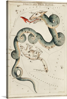  “Astronomical Chart of Draco and the Ursa Minor (1831)” by Sidney Hall is a captivating artwork that captures the majestic constellation of Draco and Ursa Minor with exquisite detail and artistry. The intricate drawing features an orange dragon representing Draco, which winds its way across the chart, and Ursa Minor, depicted as a bear-like figure located nearby. 