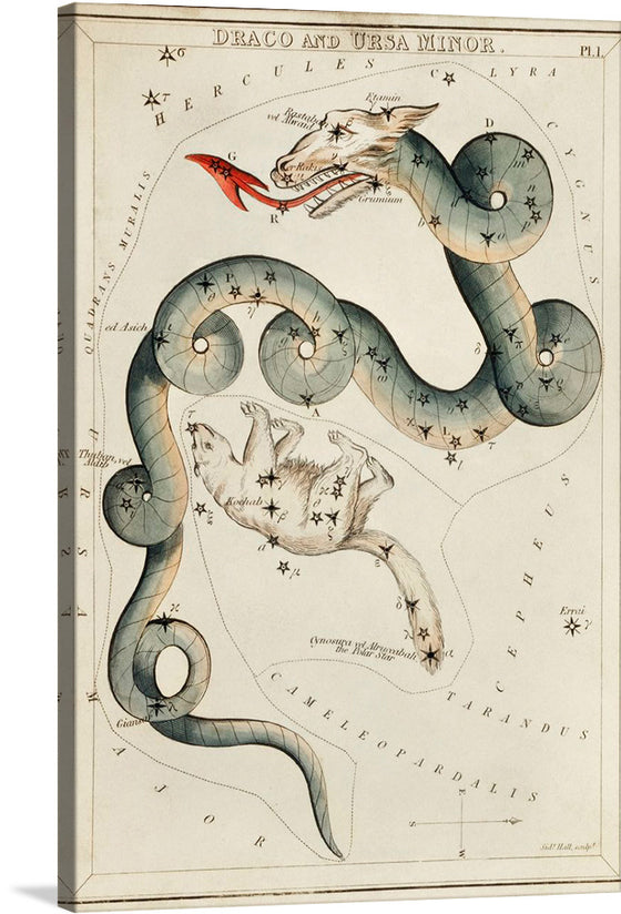 “Astronomical Chart of Draco and the Ursa Minor (1831)” by Sidney Hall is a captivating artwork that captures the majestic constellation of Draco and Ursa Minor with exquisite detail and artistry. The intricate drawing features an orange dragon representing Draco, which winds its way across the chart, and Ursa Minor, depicted as a bear-like figure located nearby. 